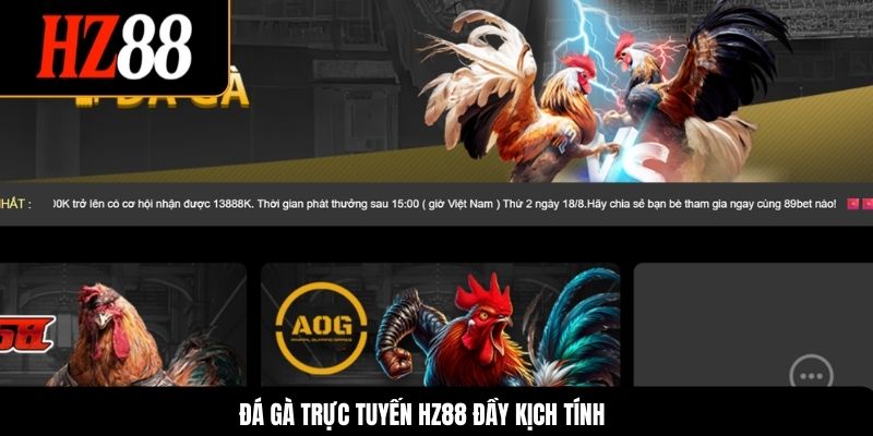Đá gà trực tuyến HZ88 đầy kịch tính