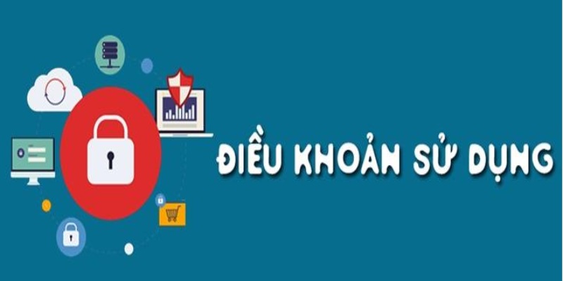 Tổng quan về điều khoản sử dụng